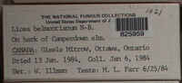 Image Associated With the Occurence